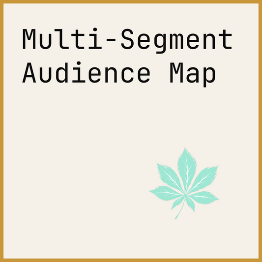 Multi-Segment Audience Map