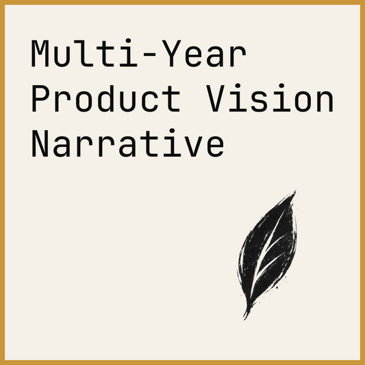 Multi-Year Product Vision Narrative