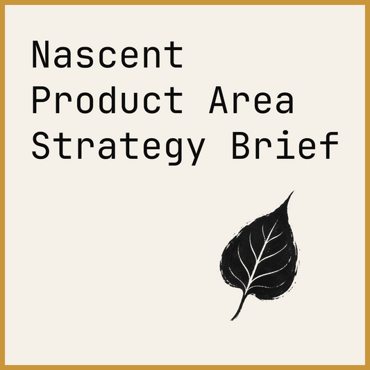 Nascent Product Area Strategy Brief