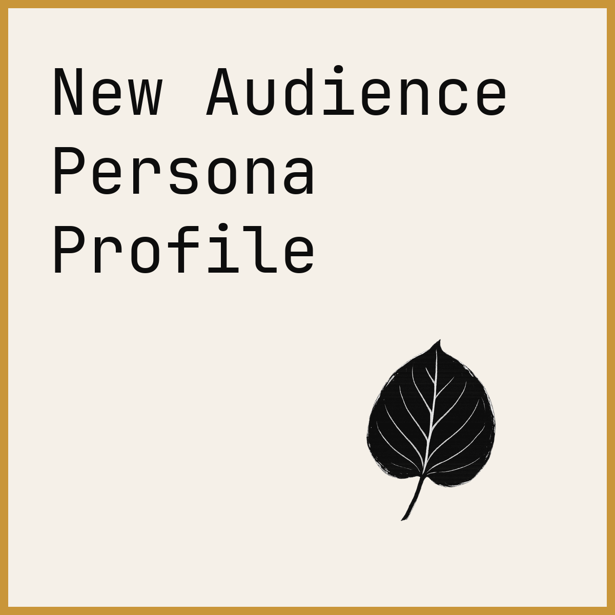 New Audience Persona Profile