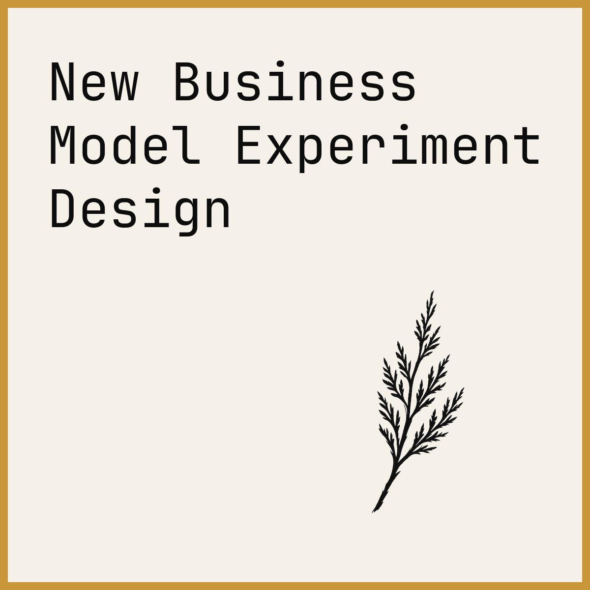 New Business Model Experiment Design