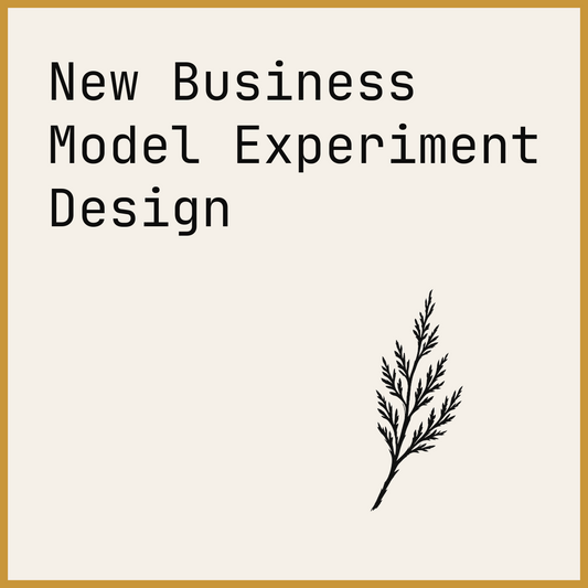 New Business Model Experiment Design