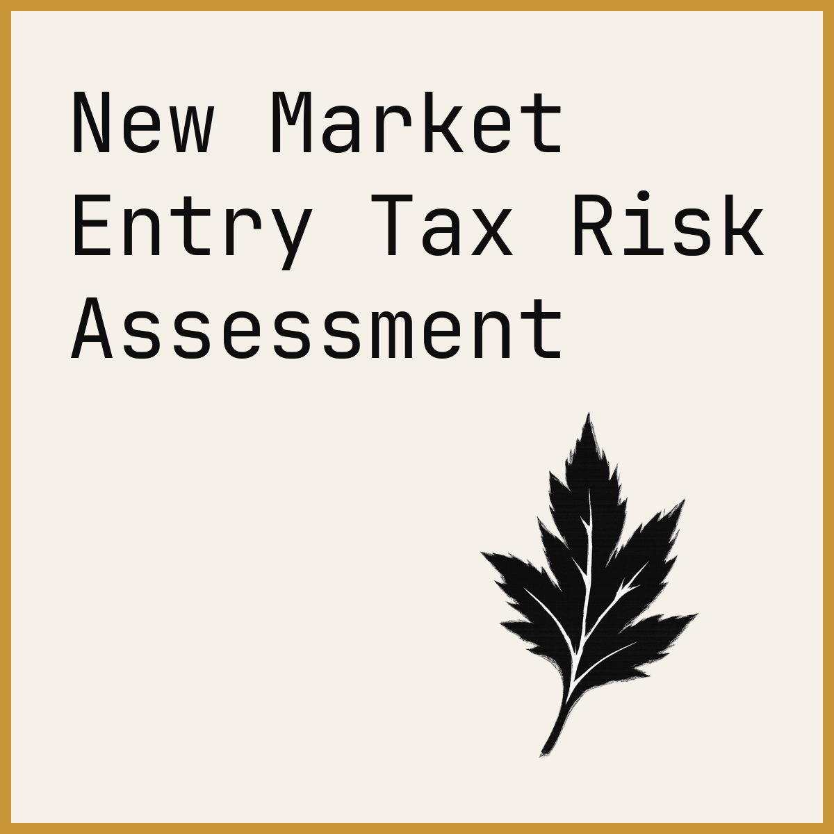 New Market Entry Tax Risk Assessment