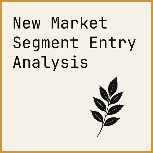 New Market Segment Entry Analysis