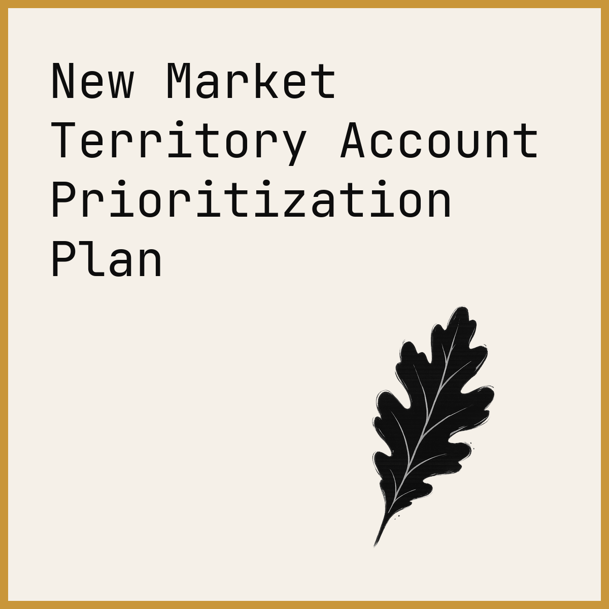 New Market Territory Account Prioritization Plan