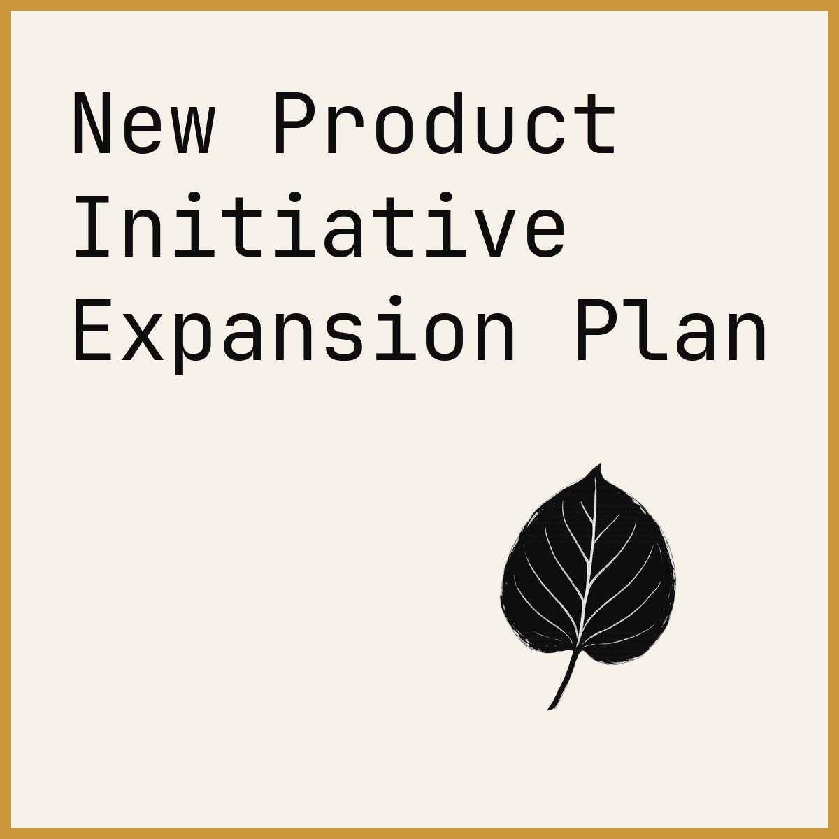 New Product Initiative Expansion Plan
