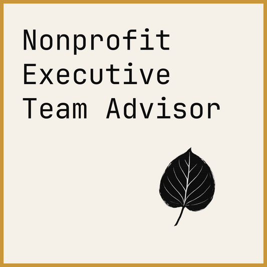 Nonprofit Executive Team Advisor
