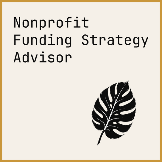 Nonprofit Funding Strategy Advisor