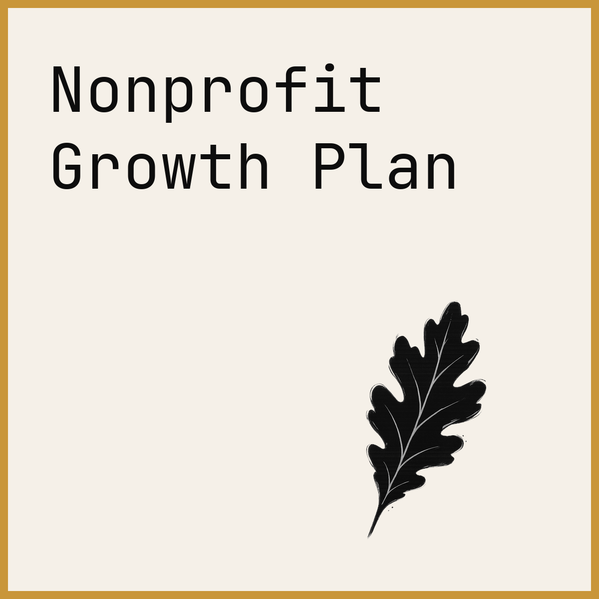 Nonprofit Growth Plan