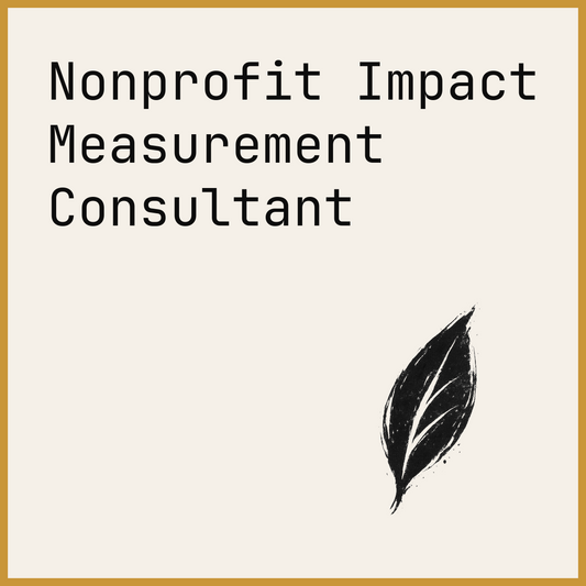 Nonprofit Impact Measurement Consultant