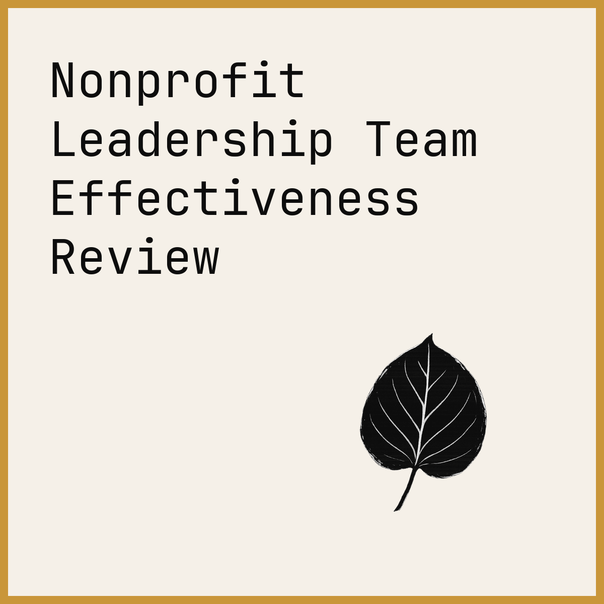 Nonprofit Leadership Team Effectiveness Review