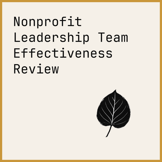 Nonprofit Leadership Team Effectiveness Review