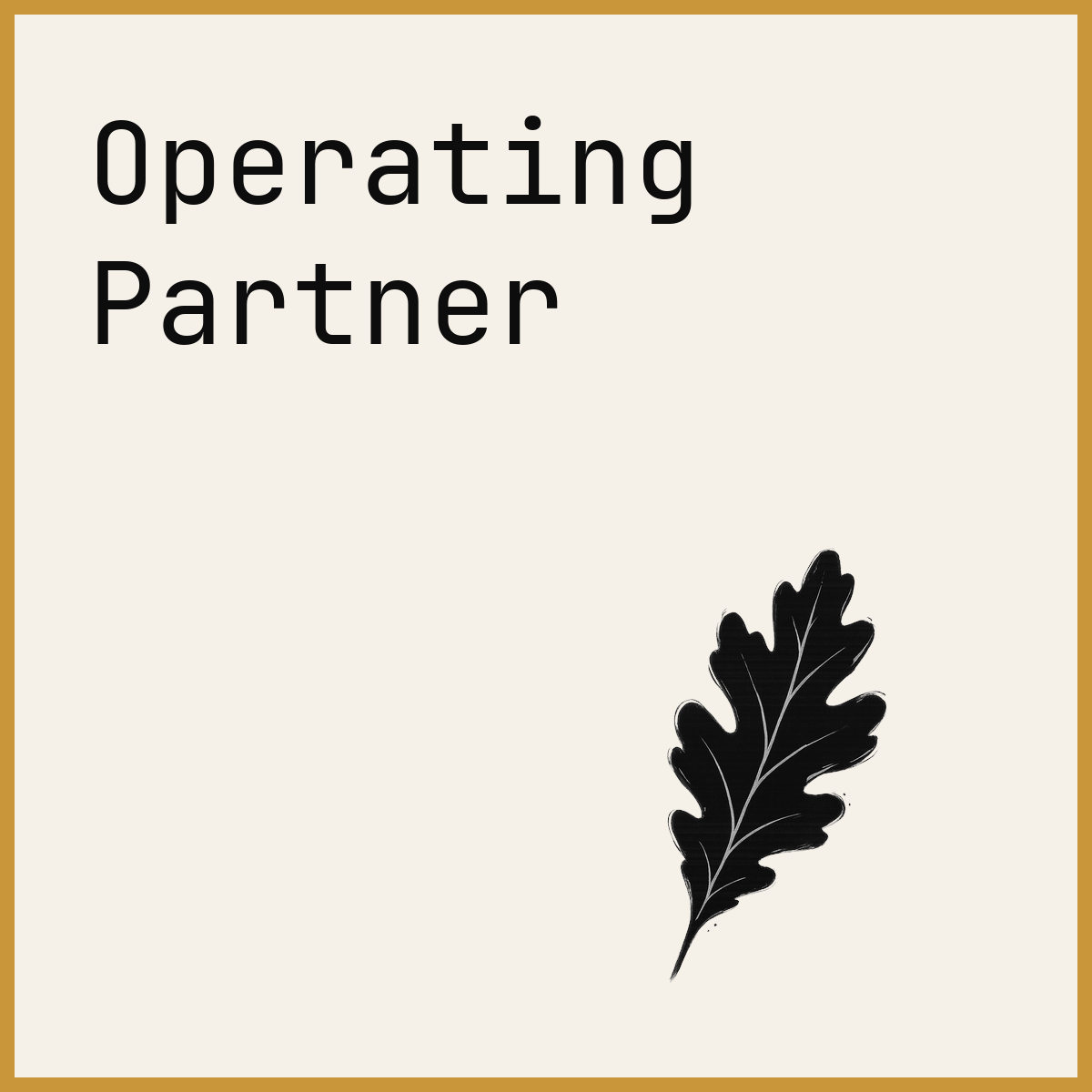 Operating Partner