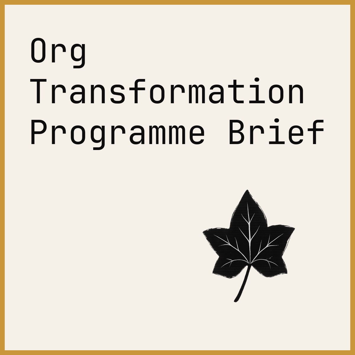 Org Transformation Programme Brief