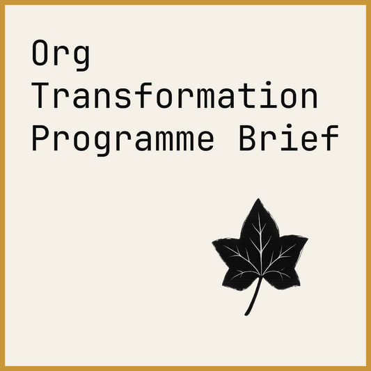 Org Transformation Programme Brief
