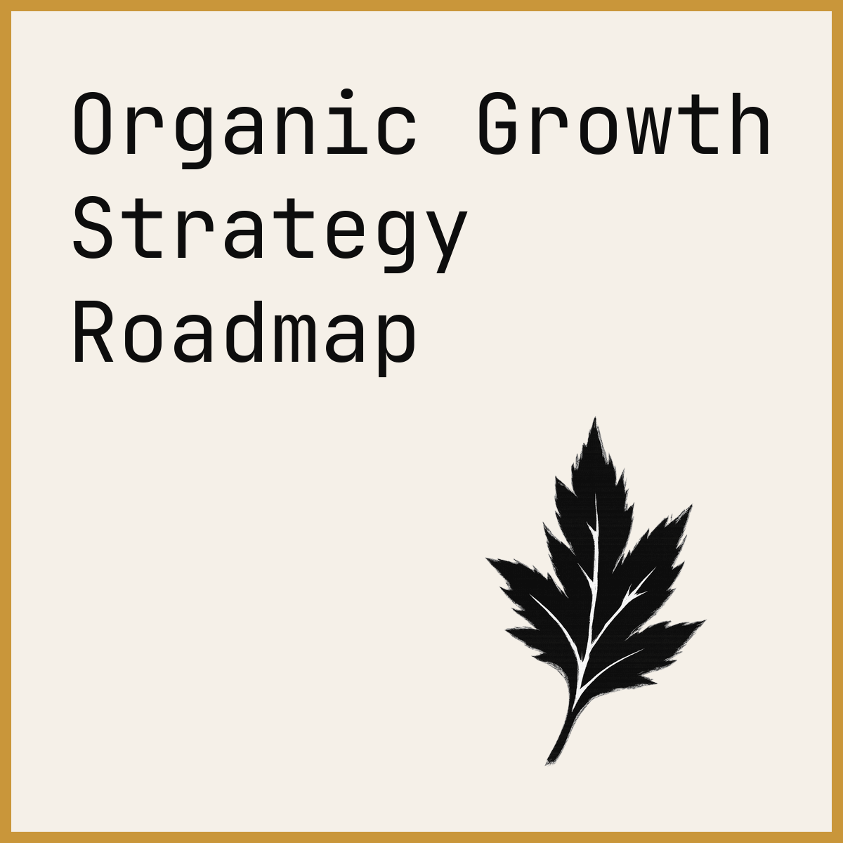 Organic Growth Strategy Roadmap