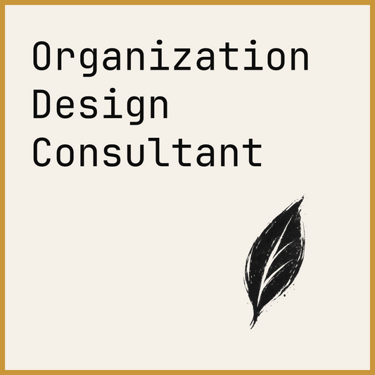 Organization Design Consultant
