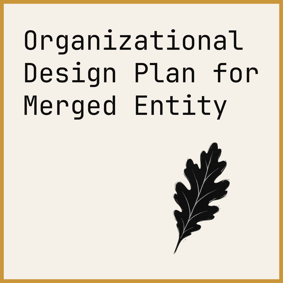 Organizational Design Plan for Merged Entity