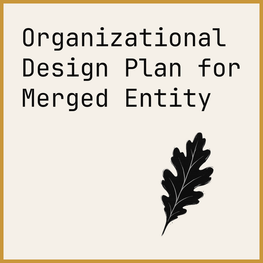 Organizational Design Plan for Merged Entity
