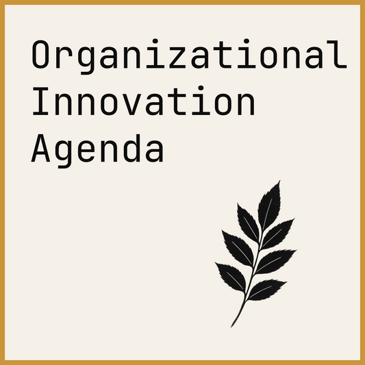 Organizational Innovation Agenda