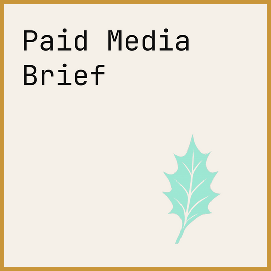 Paid Media Brief