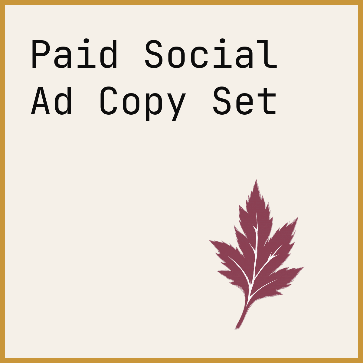 Paid Social Ad Copy Set