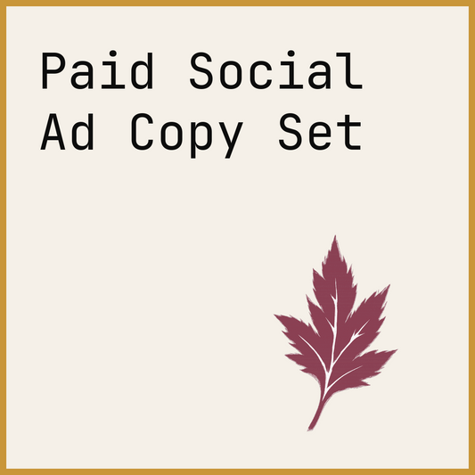 Paid Social Ad Copy Set
