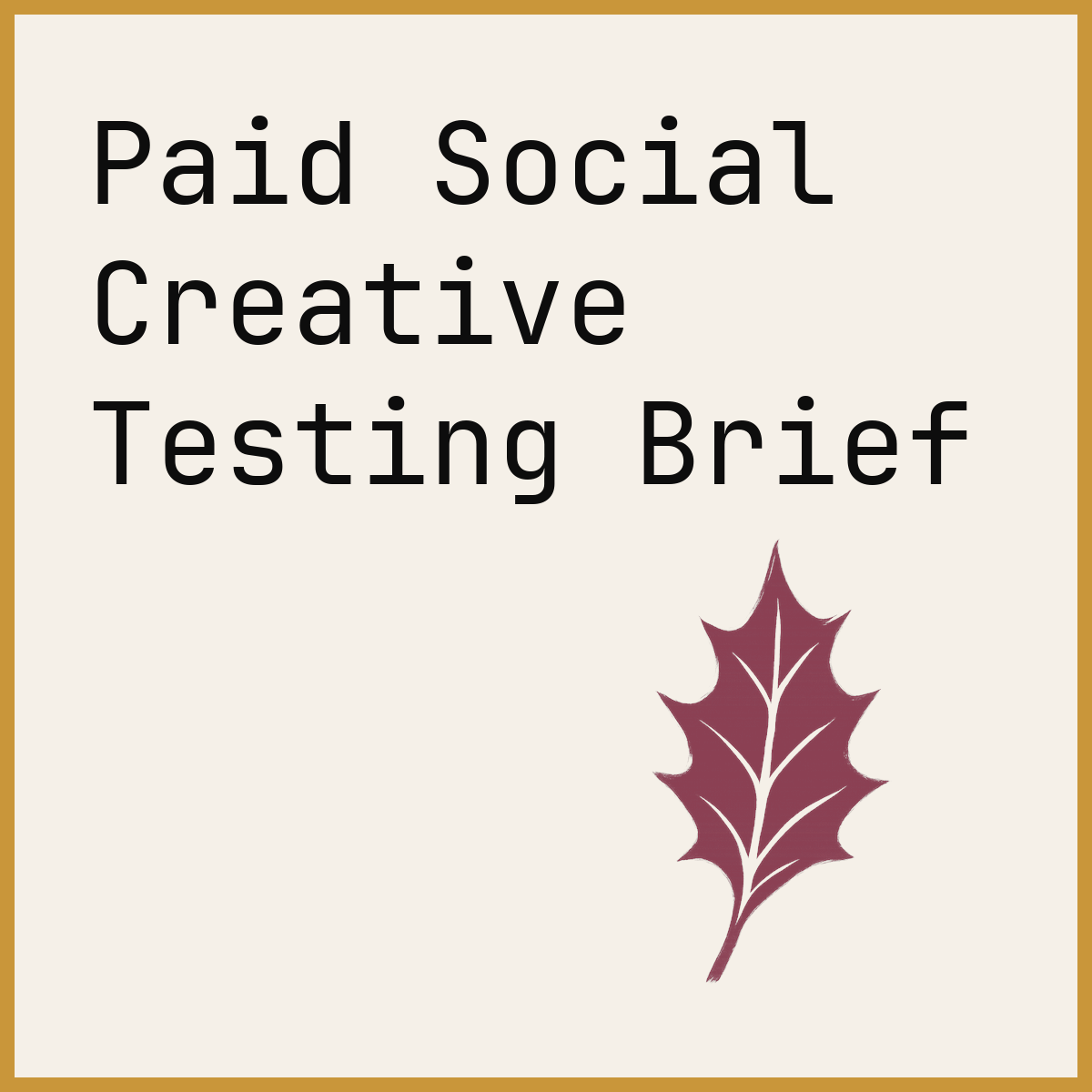 Paid Social Creative Testing Brief