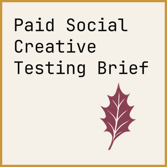 Paid Social Creative Testing Brief