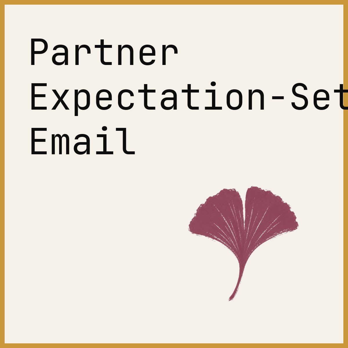 Partner Expectation-Setting Email