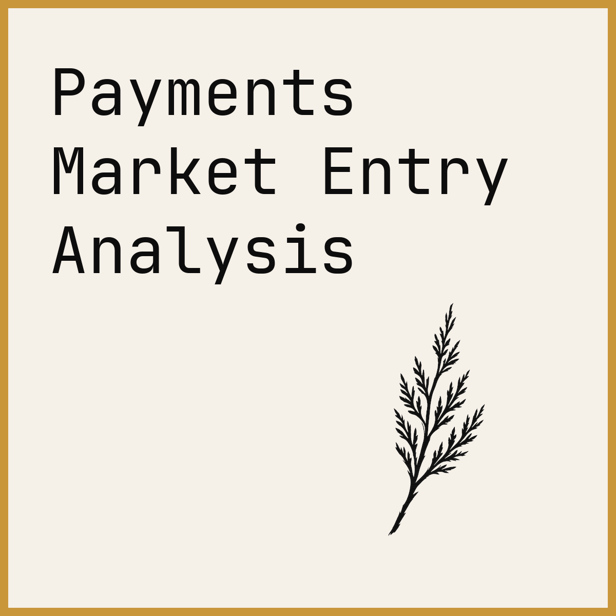 Payments Market Entry Analysis