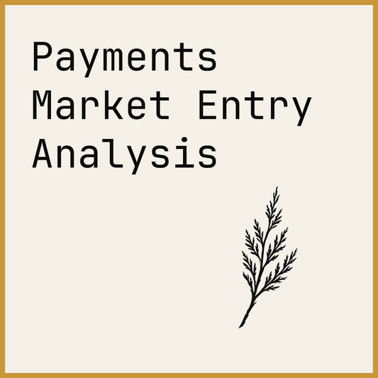 Payments Market Entry Analysis