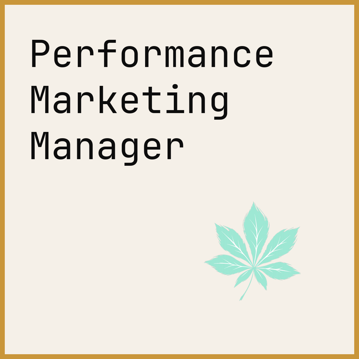 Performance Marketing Manager