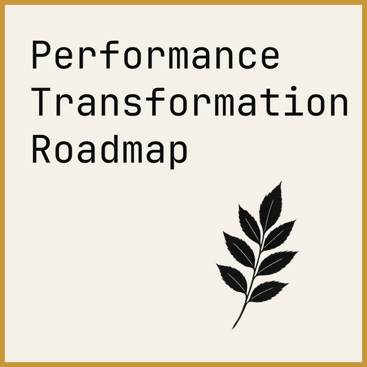 Performance Transformation Roadmap