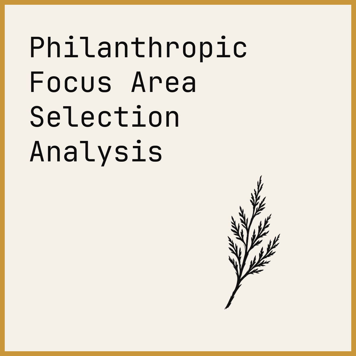 Philanthropic Focus Area Selection Analysis