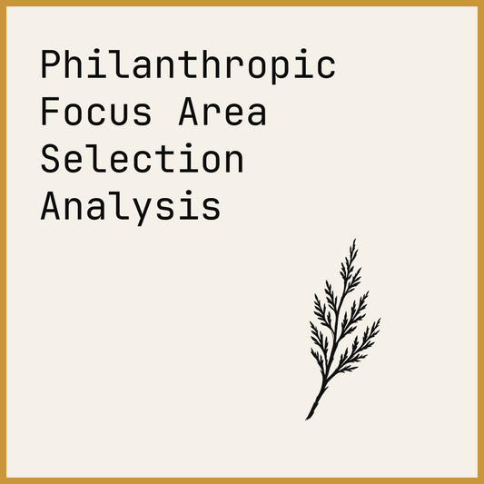 Philanthropic Focus Area Selection Analysis
