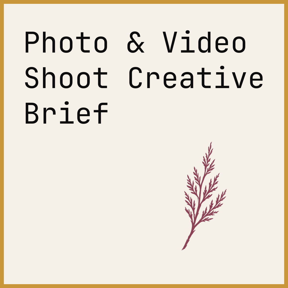 Photo & Video Shoot Creative Brief
