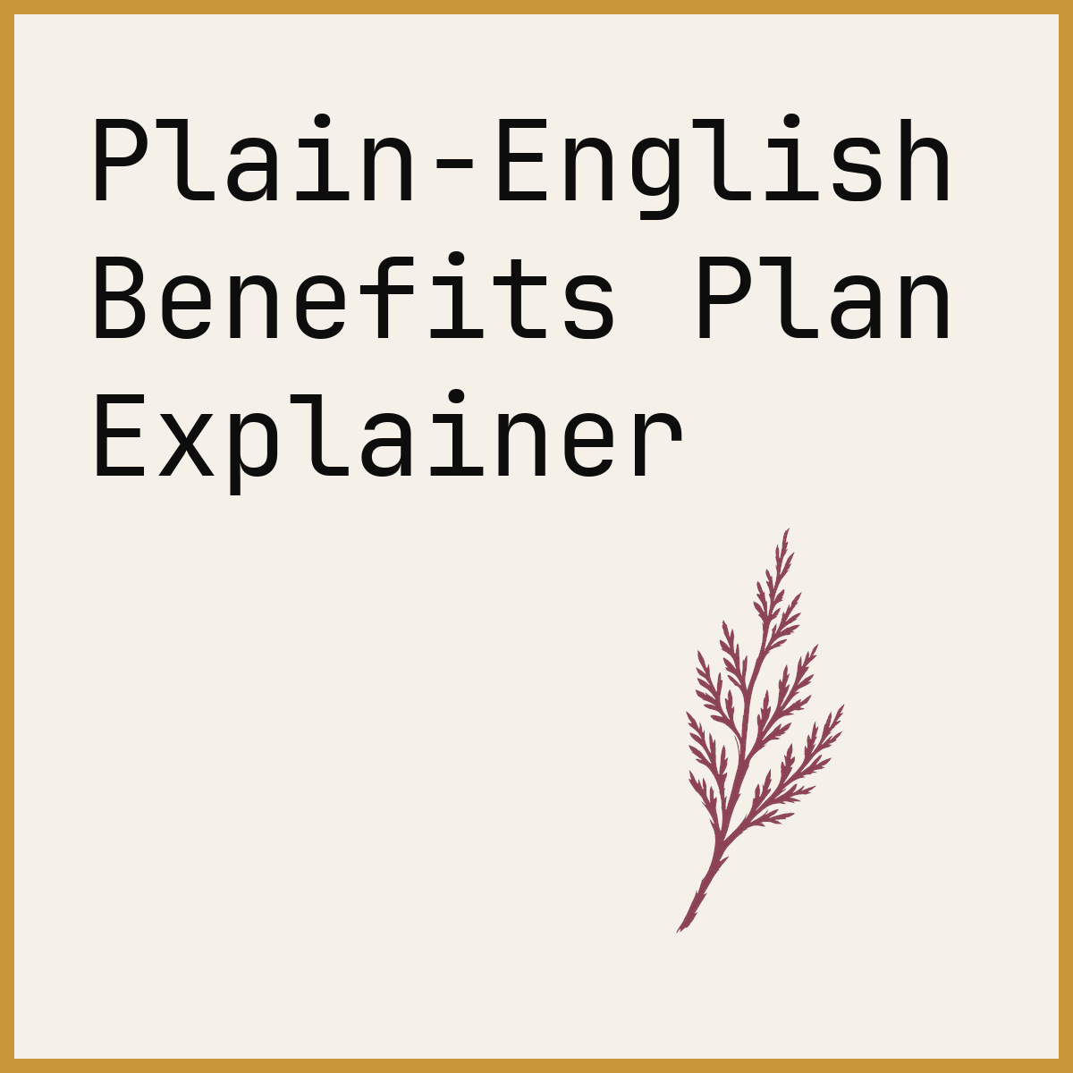 Plain-English Benefits Plan Explainer