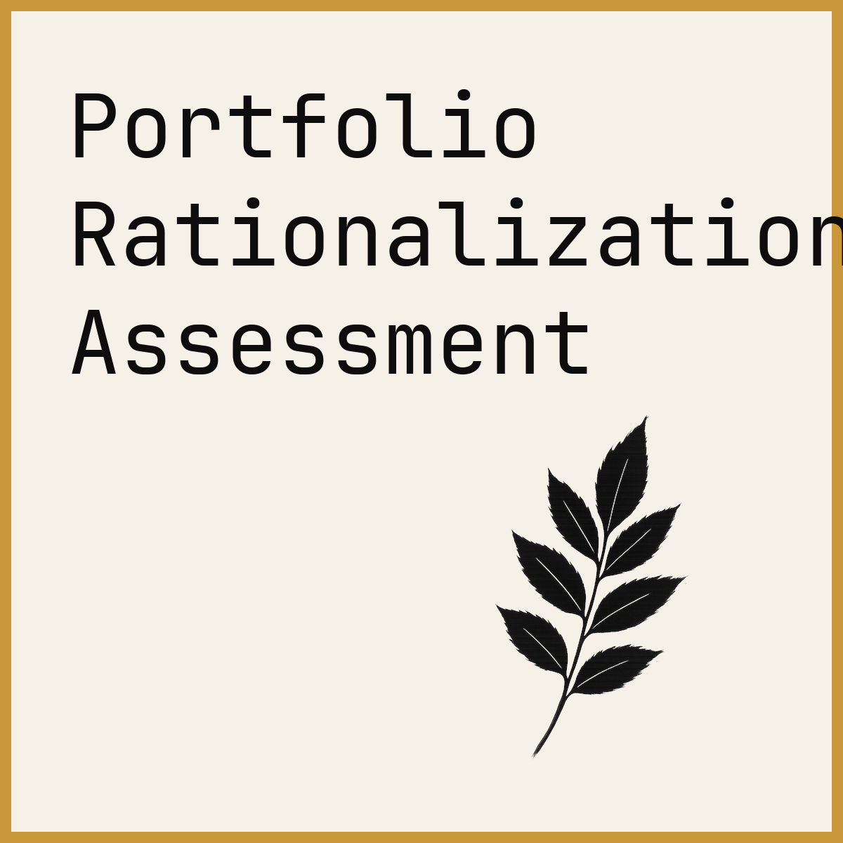 Portfolio Rationalization Assessment