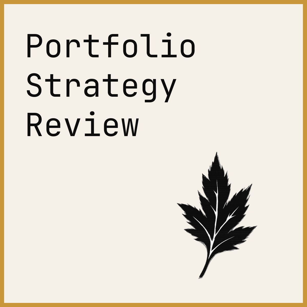 Portfolio Strategy Review