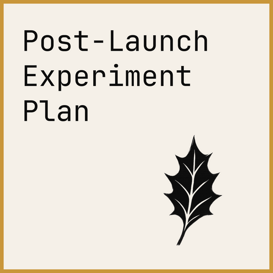 Post-Launch Experiment Plan