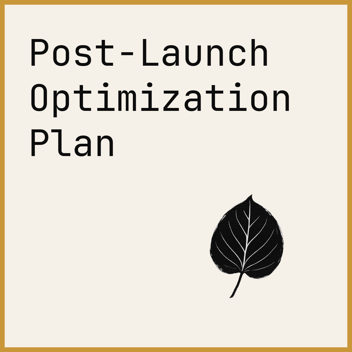 Post-Launch Optimization Plan