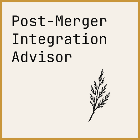 Post-Merger Integration Advisor