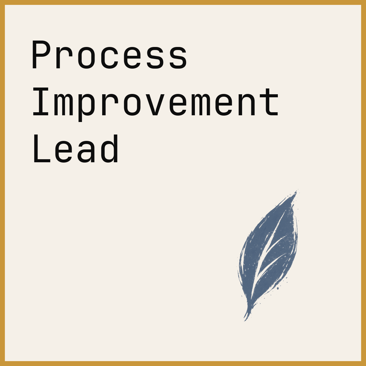 Process Improvement Lead
