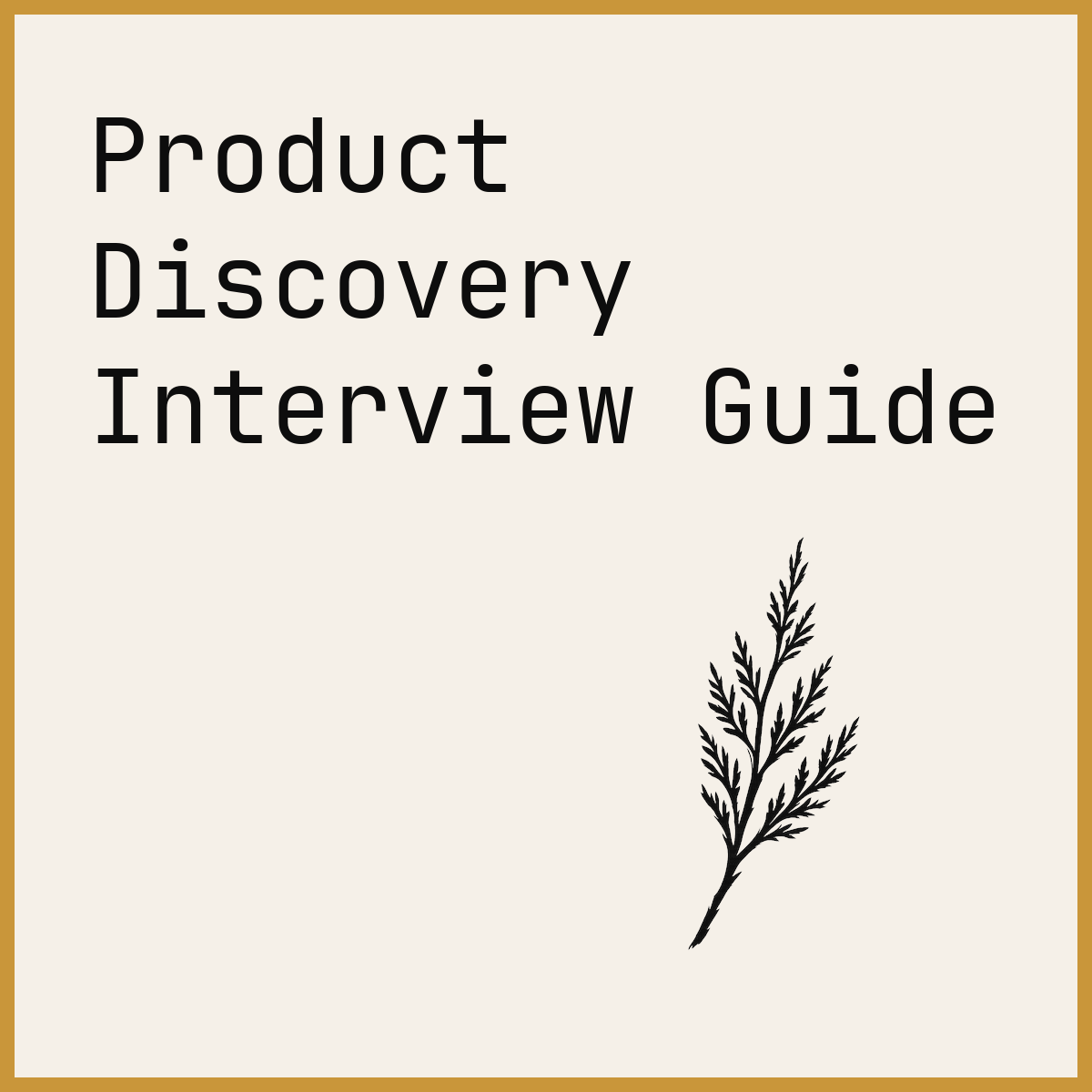 Product Discovery Interview Guide