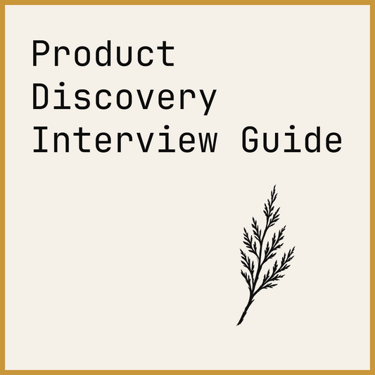 Product Discovery Interview Guide