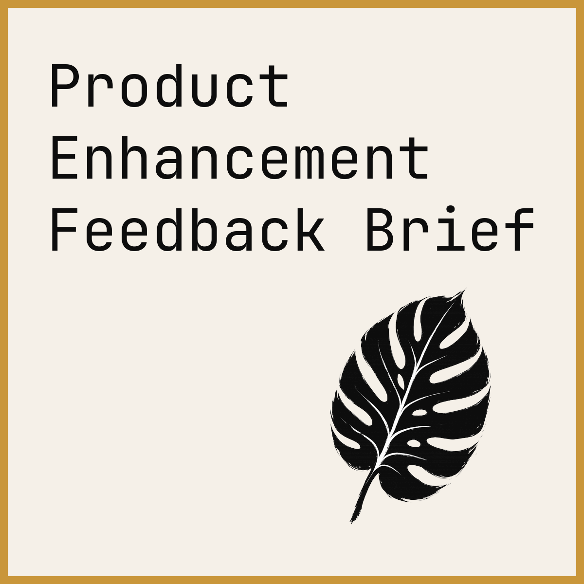 Product Enhancement Feedback Brief