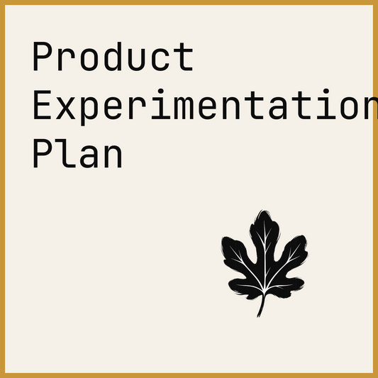 Product Experimentation Plan