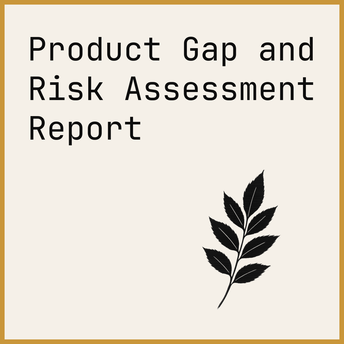 Product Gap and Risk Assessment Report