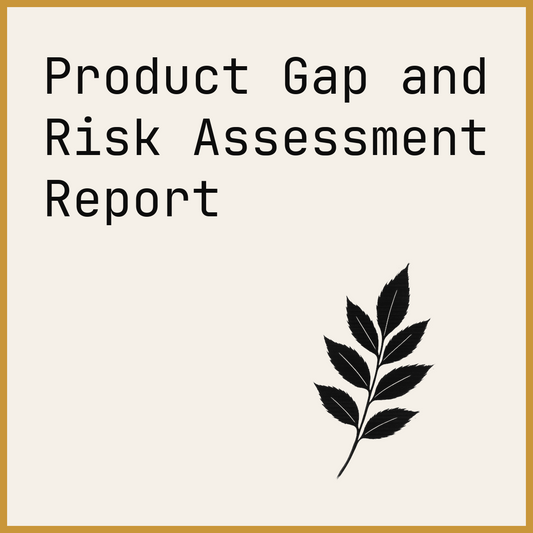 Product Gap and Risk Assessment Report